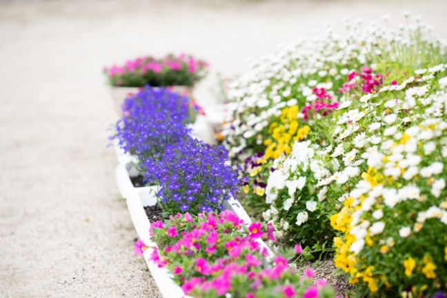 花粉症は早めの治療が大切